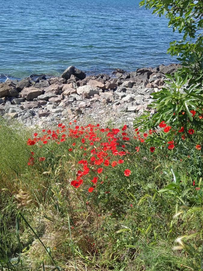 Private Studio, South Beaсh, Nessebar, Larisa ภายนอก รูปภาพ